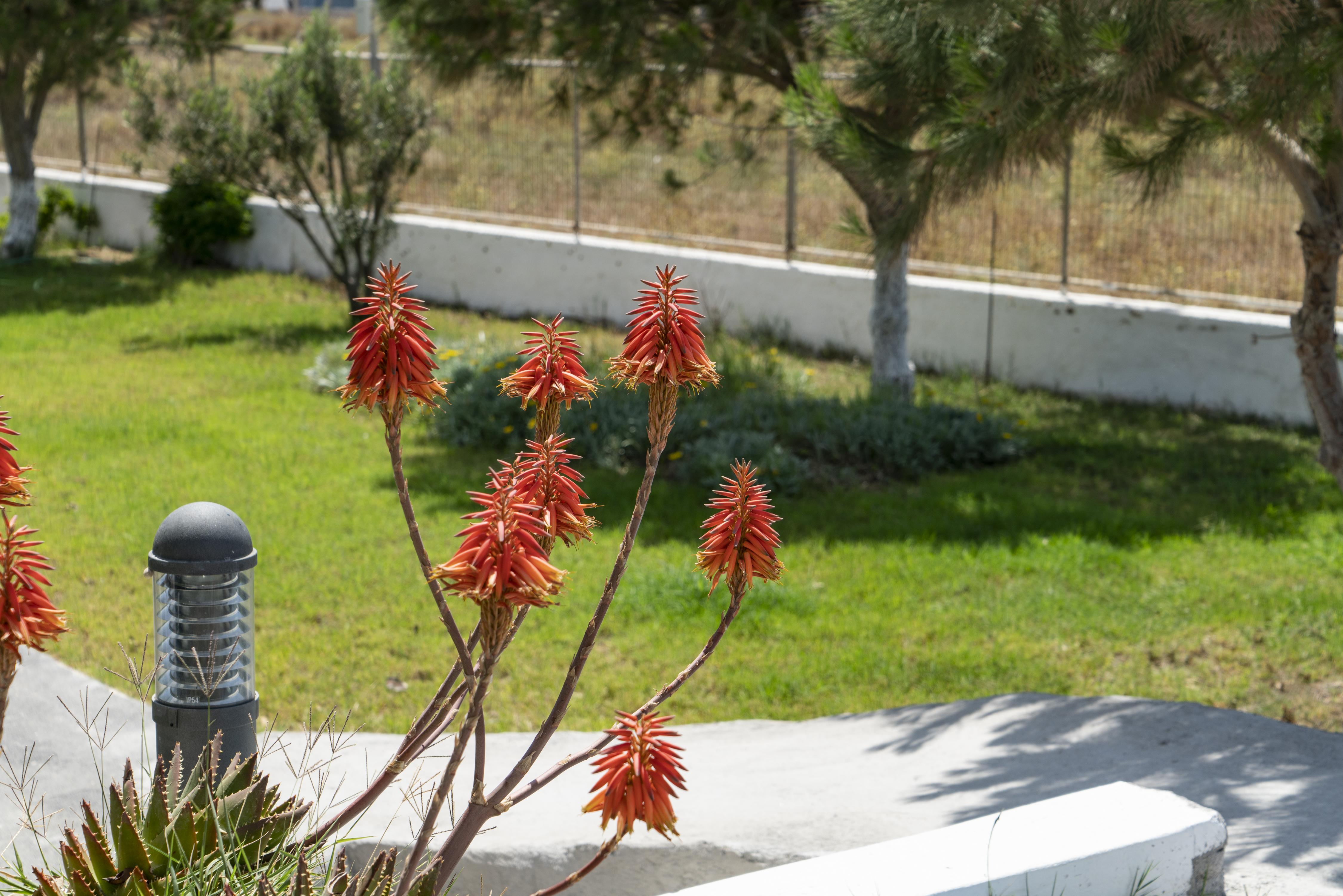 Hotel Bella Santorini Agios Georgios (Santorini)